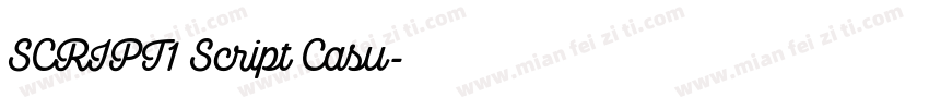 SCRIPT1 Script Casu字体转换
